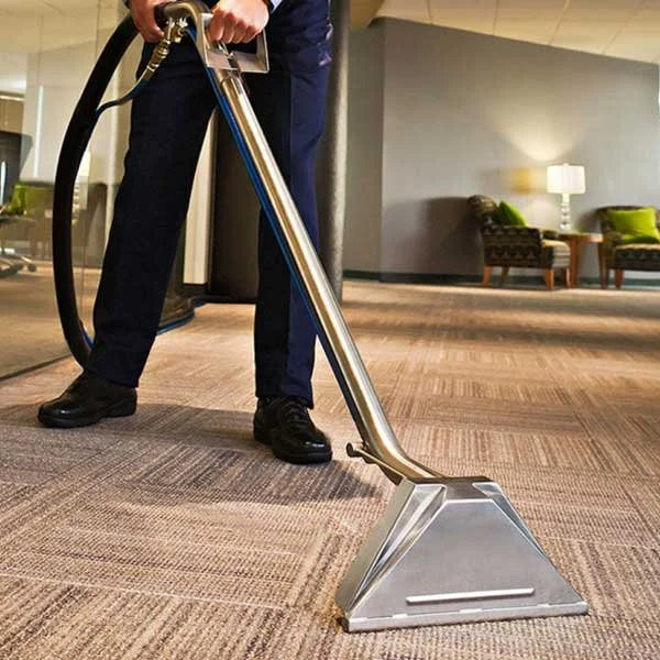 Carpet-Steam-Cleaning